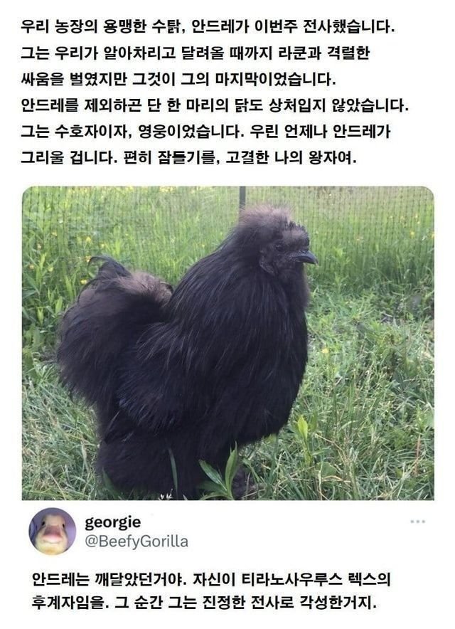 17438670789716.jpeg