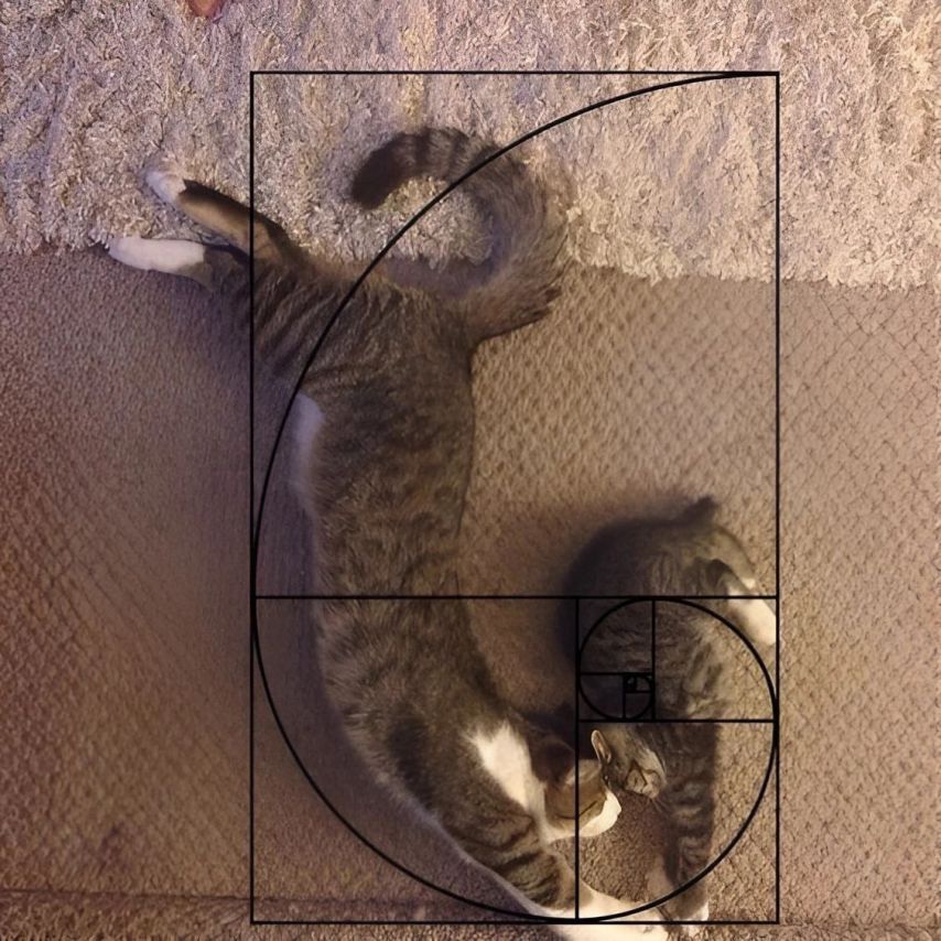 17438700152064.jpeg
