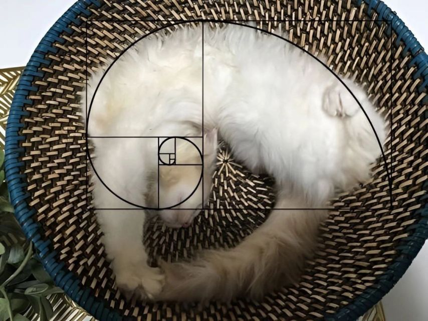 17438700157205.jpeg