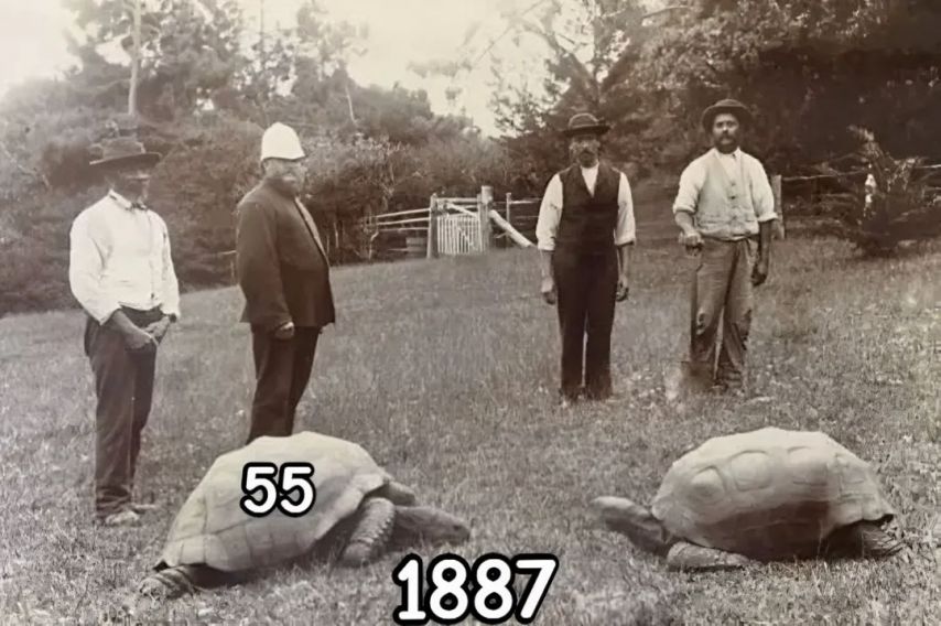 17438712055495.jpeg