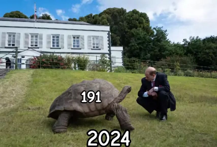 17438712060105.jpeg