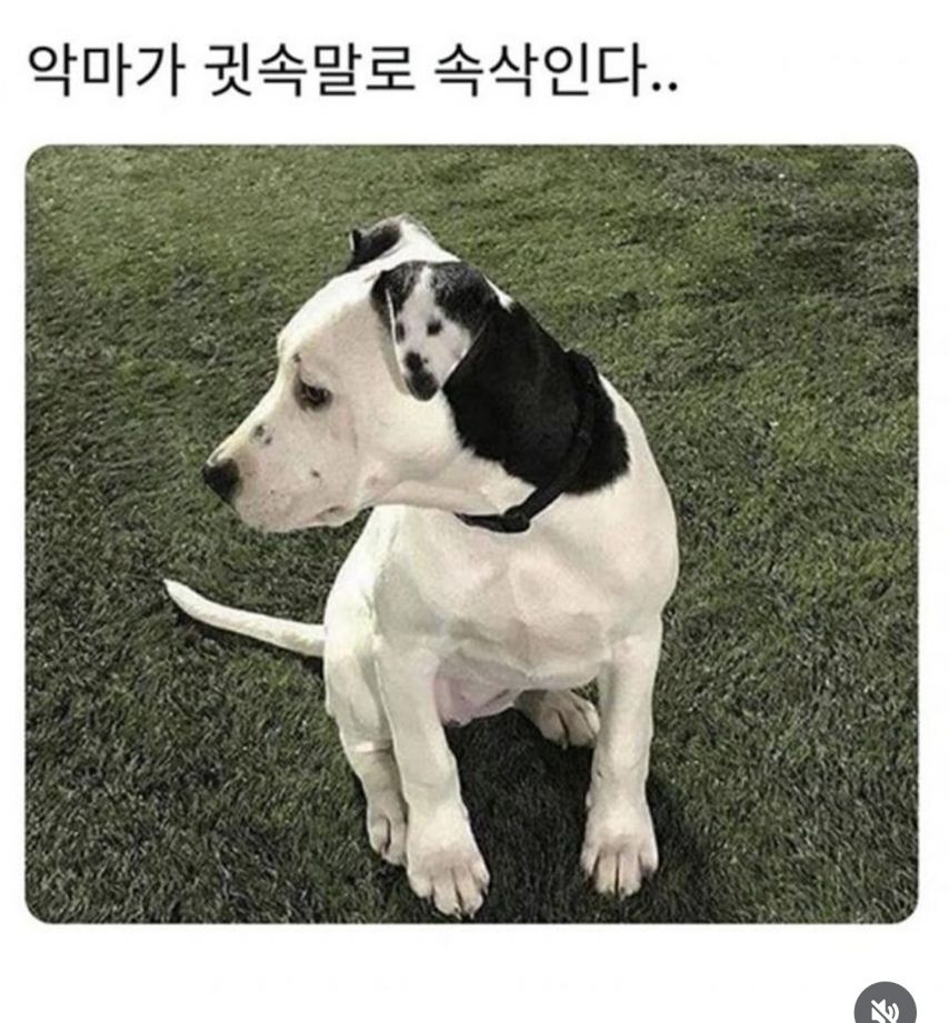 17438714701892.jpeg