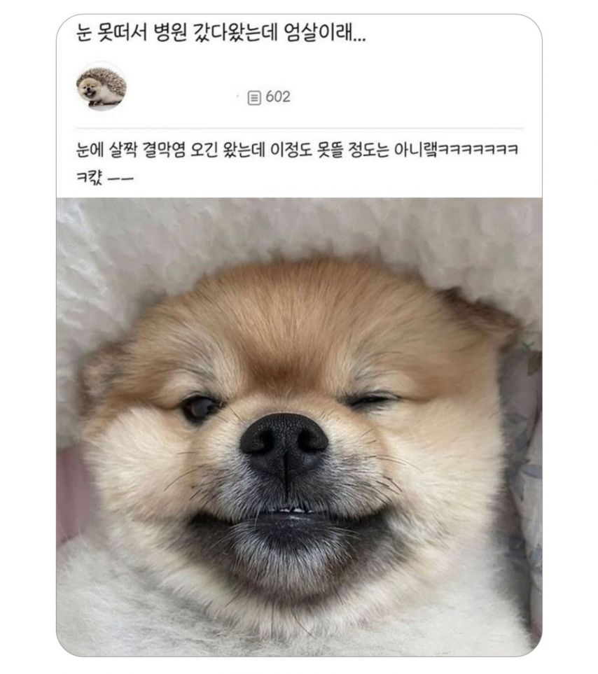 17438715200709.jpeg