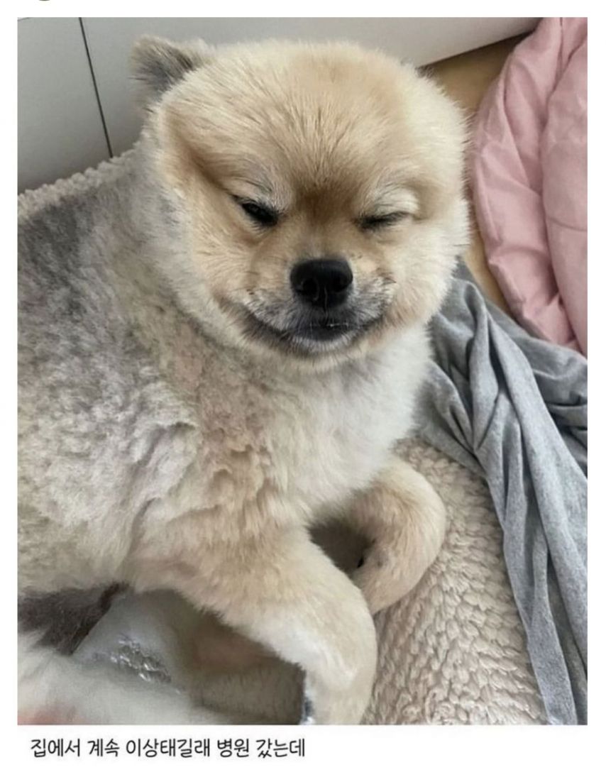 17438715203149.jpeg