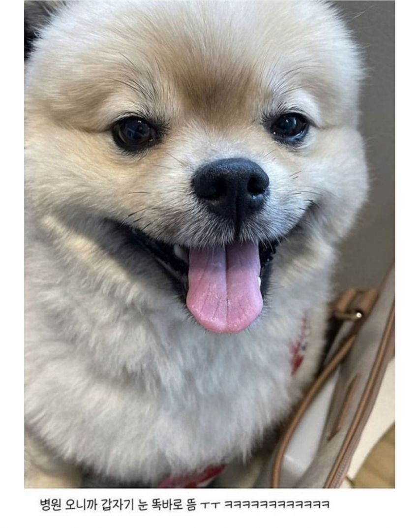17438715205783.jpeg