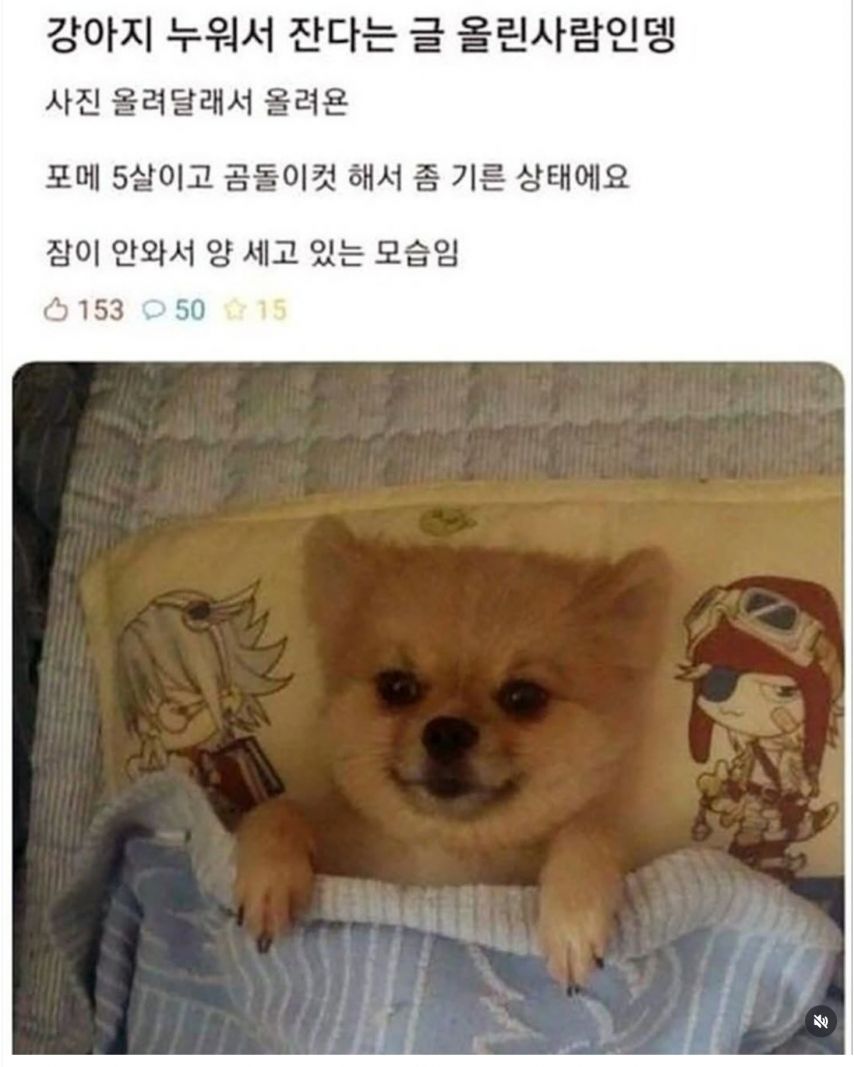 17438716240708.jpeg