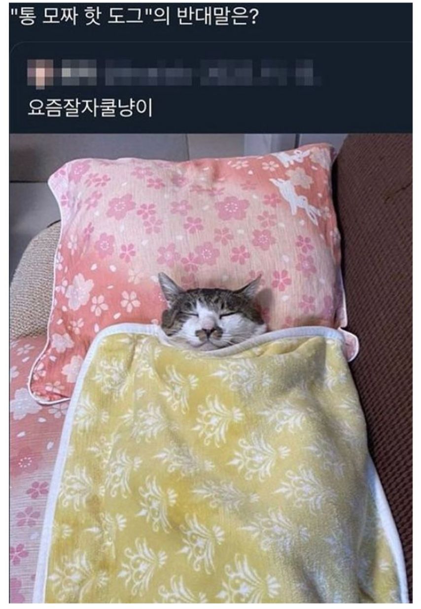 17438716243206.jpeg