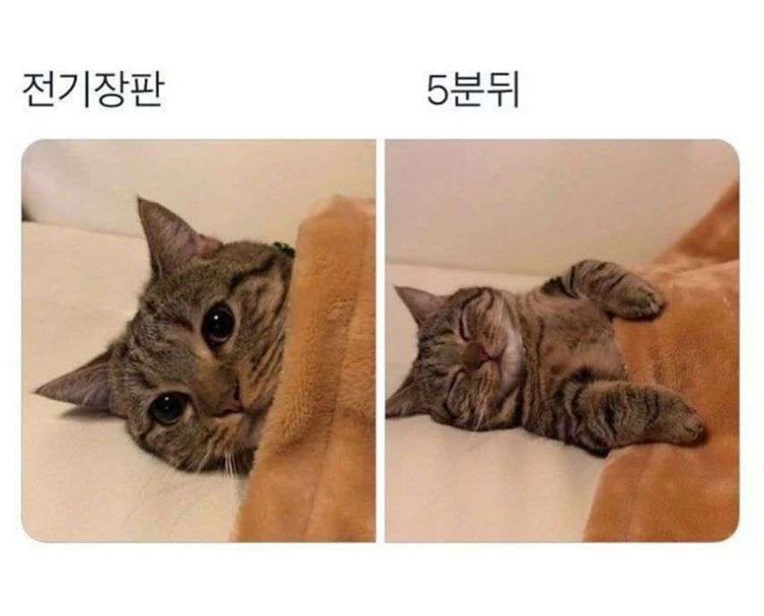 17438716245607.jpeg