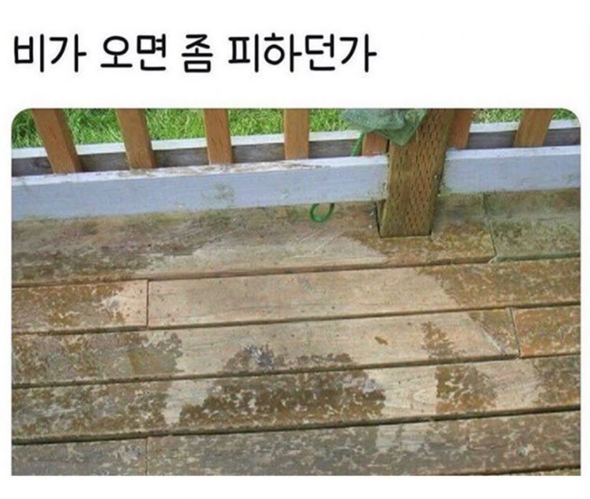 17438716250362.jpeg