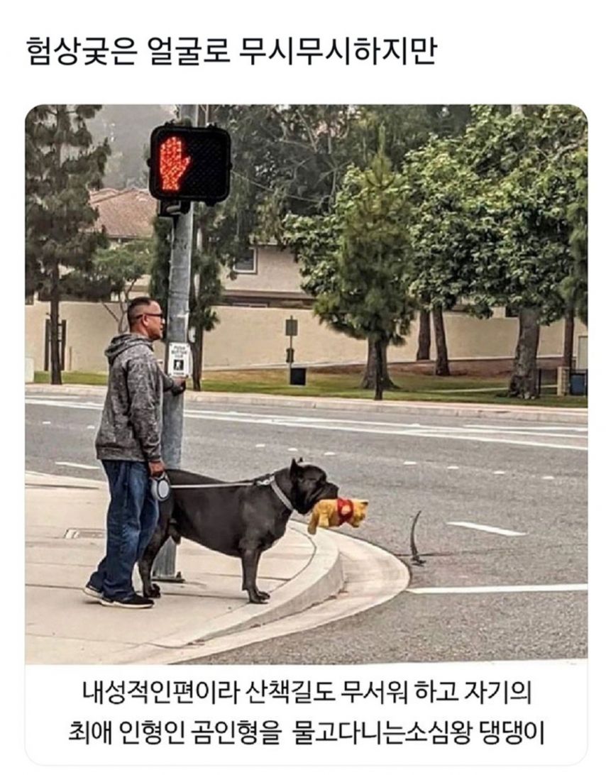 17438718388653.jpeg