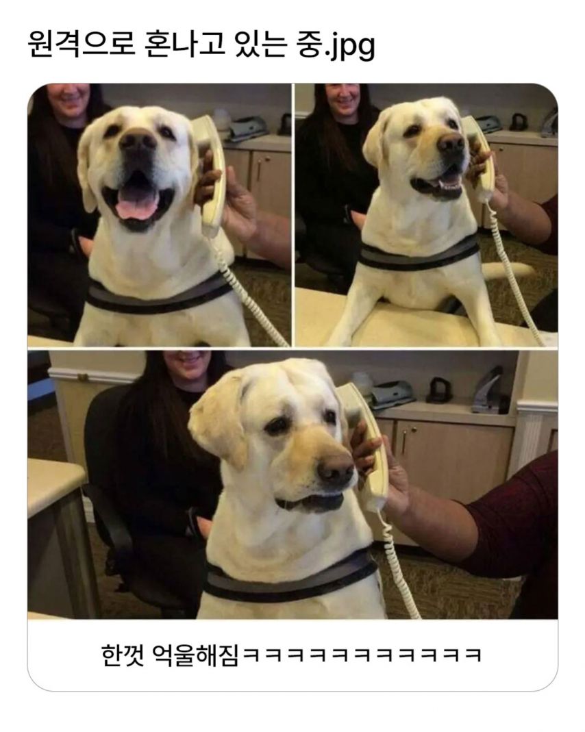 17442967447894.jpeg