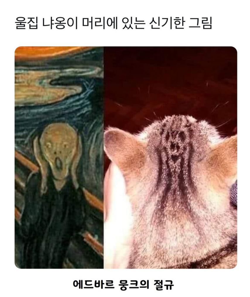 17442967578612.jpeg