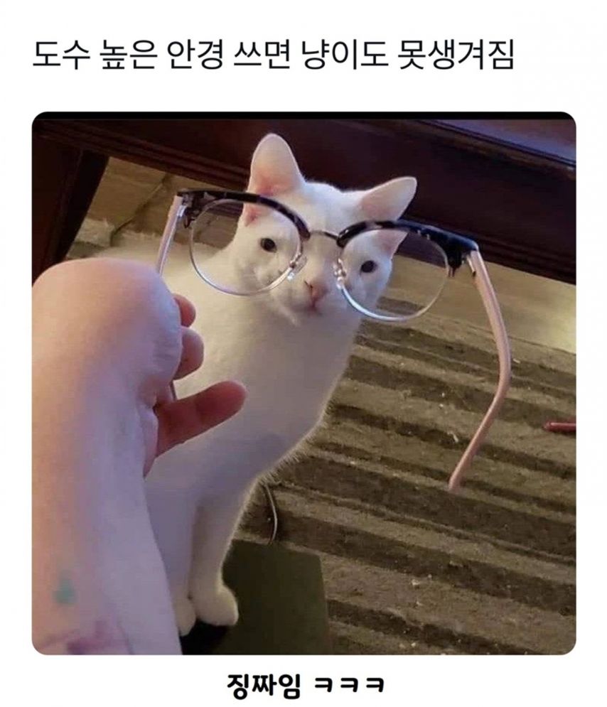17442967720268.jpeg