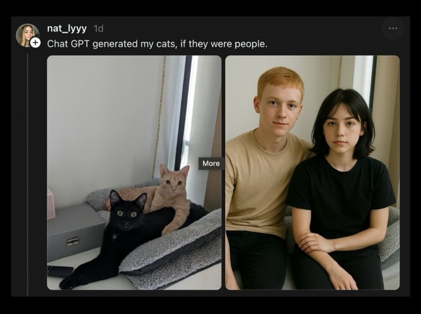 17444304505841.jpeg