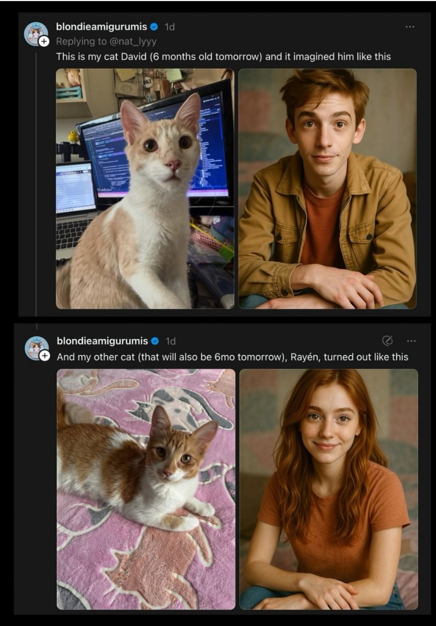17444304506539.jpeg