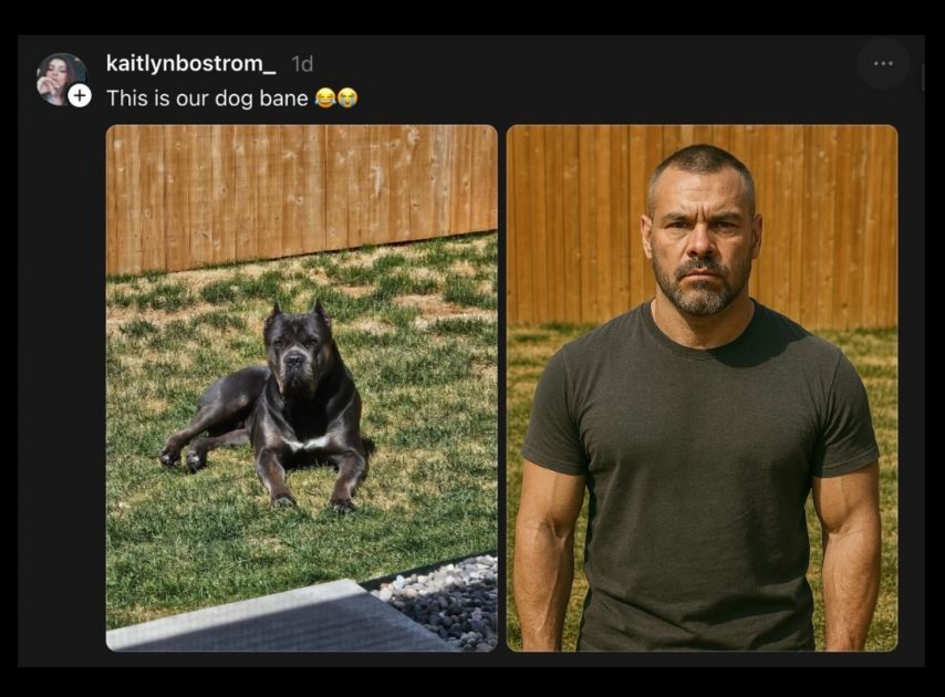 17444304514072.jpeg