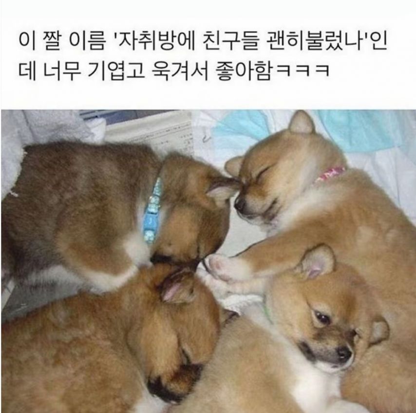 1744430526774.jpeg