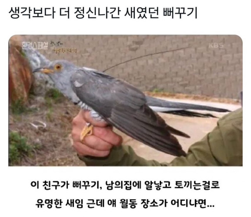 17450753865885.png