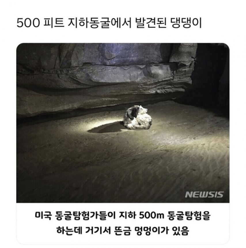 17453333397345.jpeg