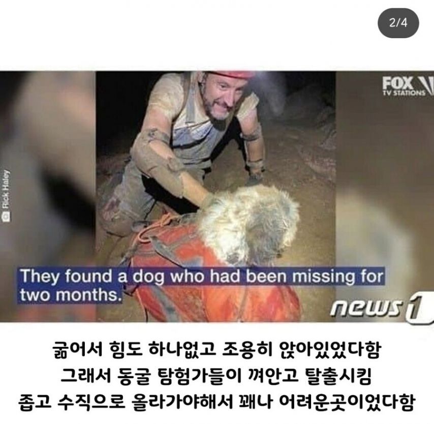 17453333398101.jpeg