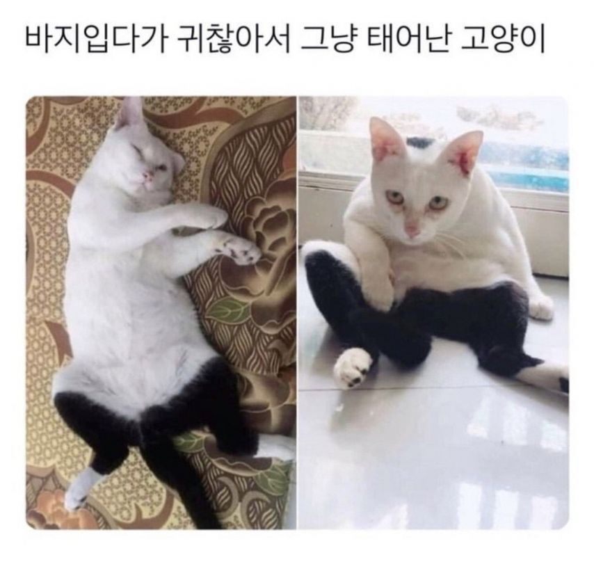 17453333539624.jpeg