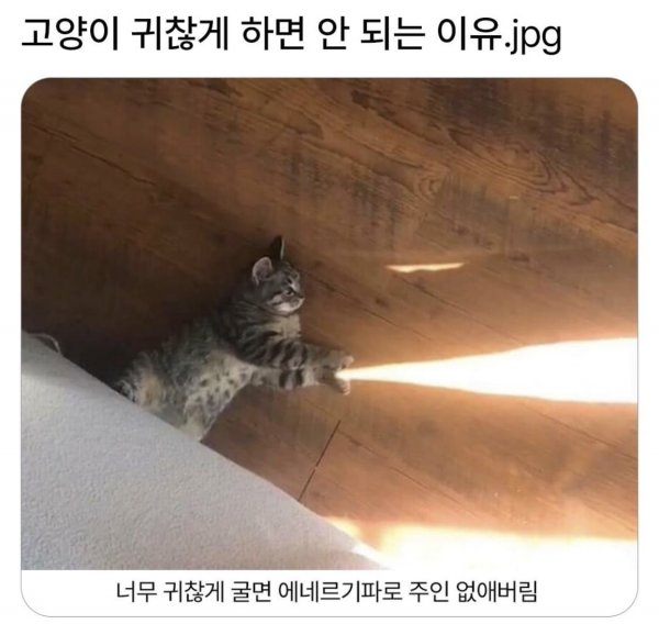 17455075872496.jpeg