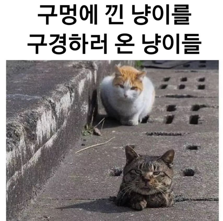 17455076104498.jpeg
