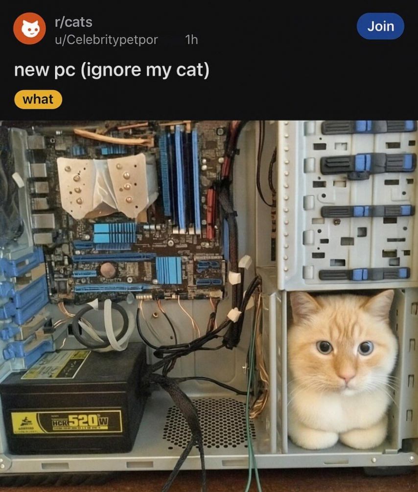 17461579263119.jpeg
