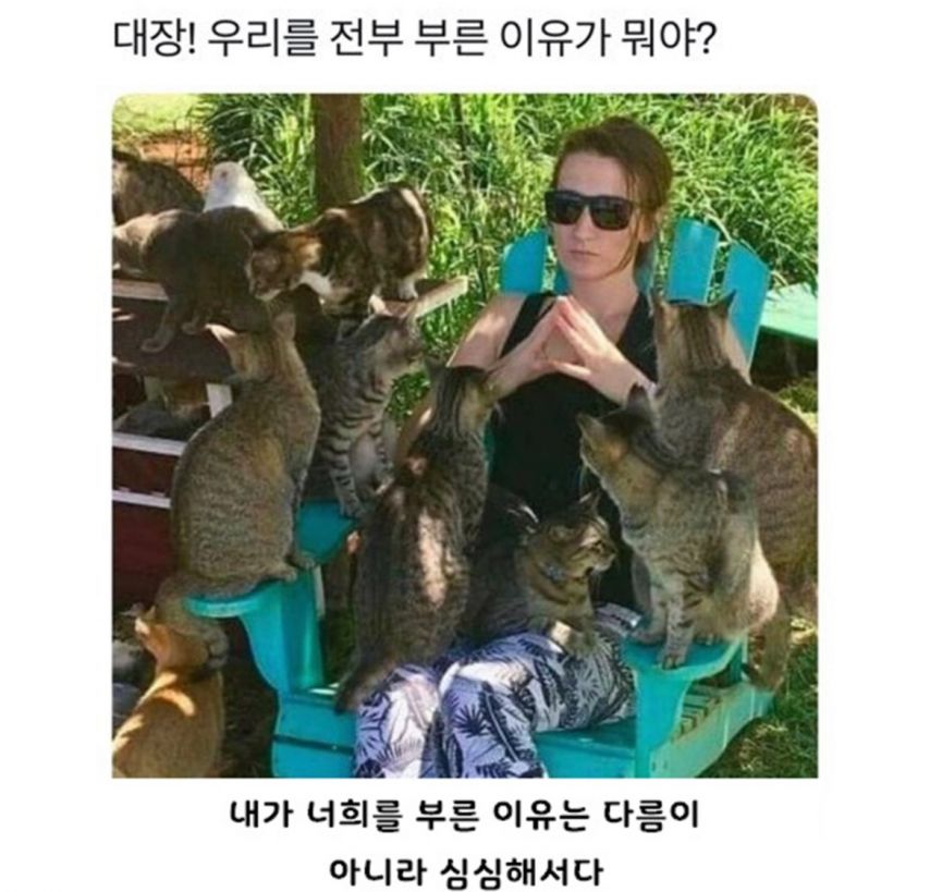 17462041596261.jpeg