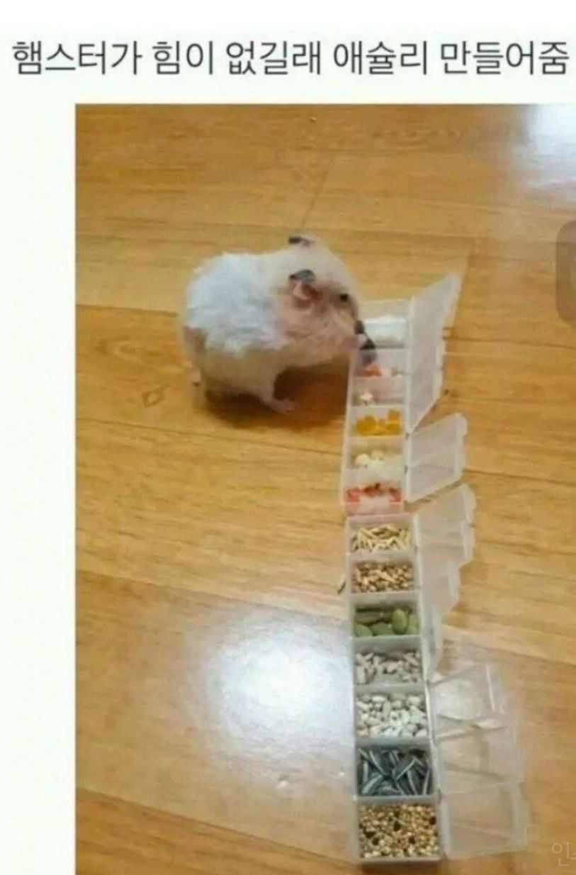 17463730365086.jpeg