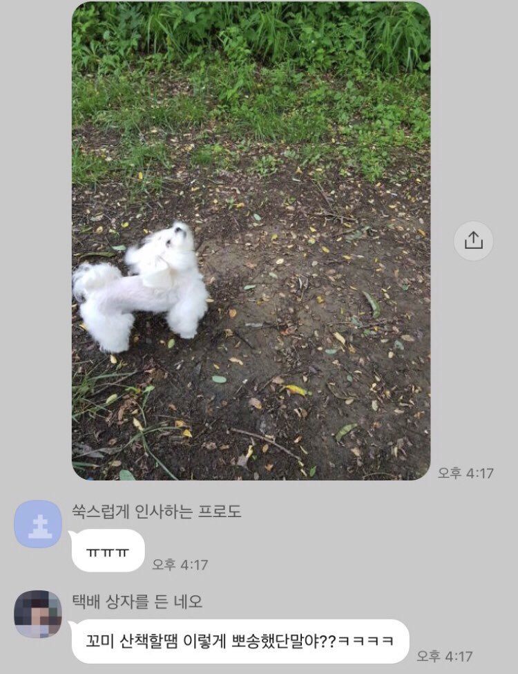 1746373040774.jpeg