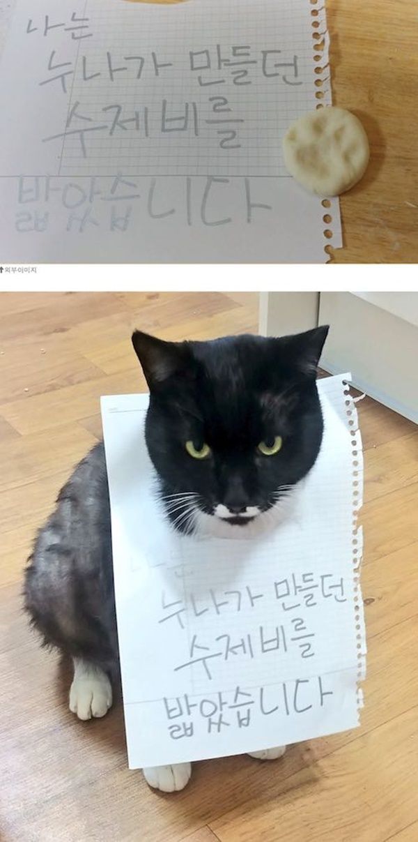 17465049263957.jpeg