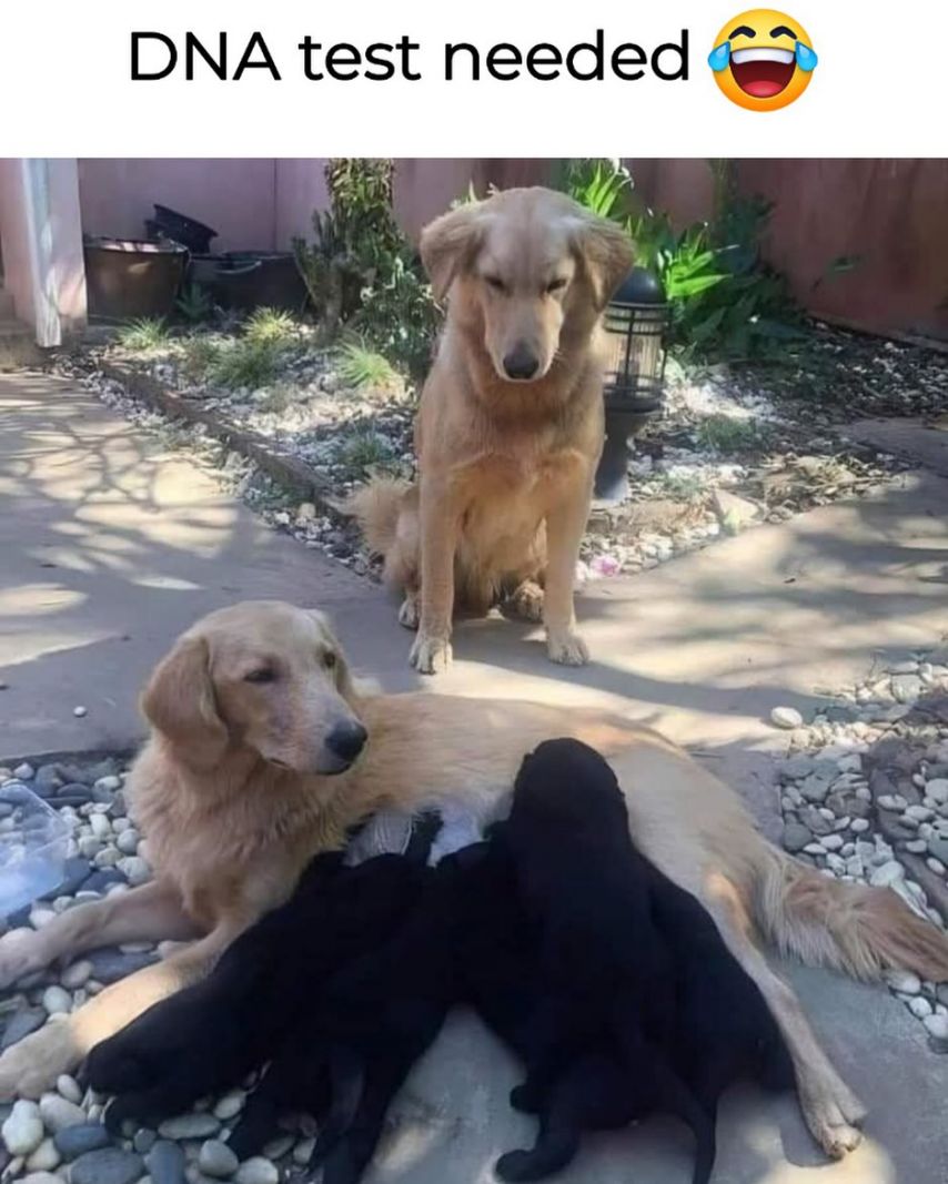 17468053264666.jpeg