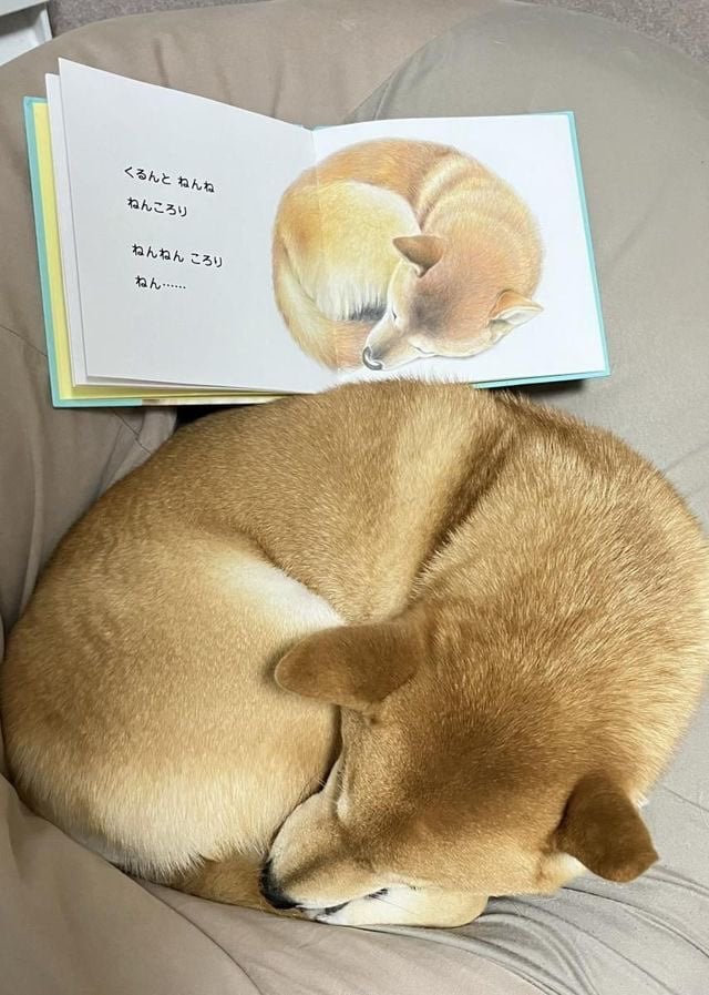 1747066467142.jpeg