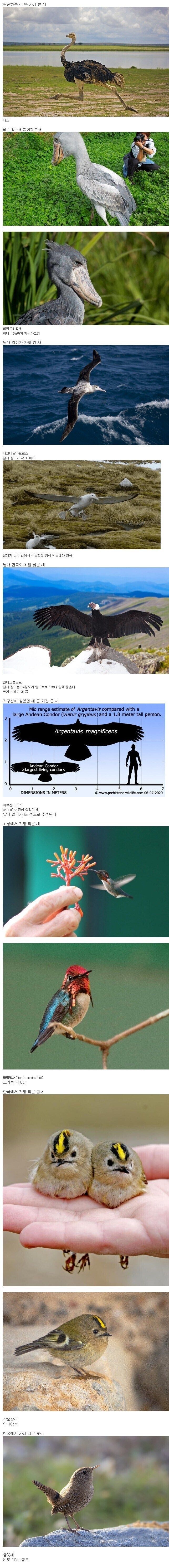 17470665018203.jpeg