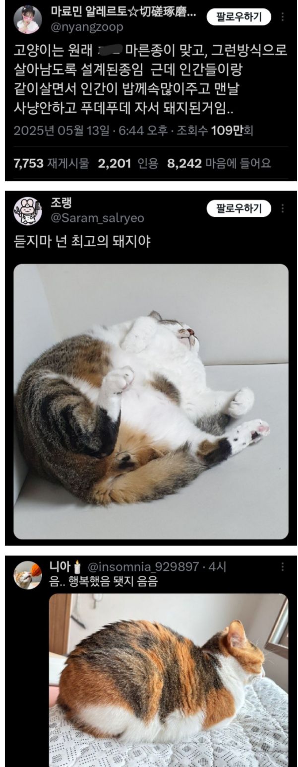 17473213444234.jpeg