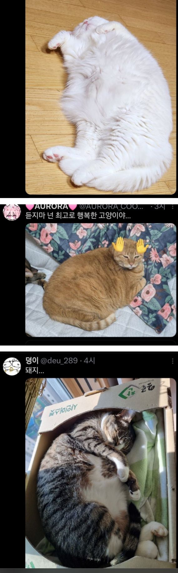 17473213445087.jpeg