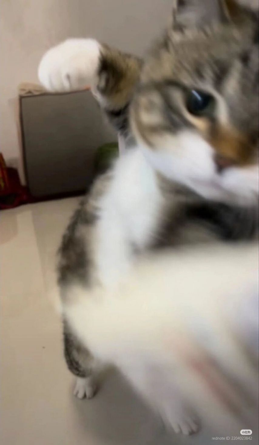 17474084771895.jpeg