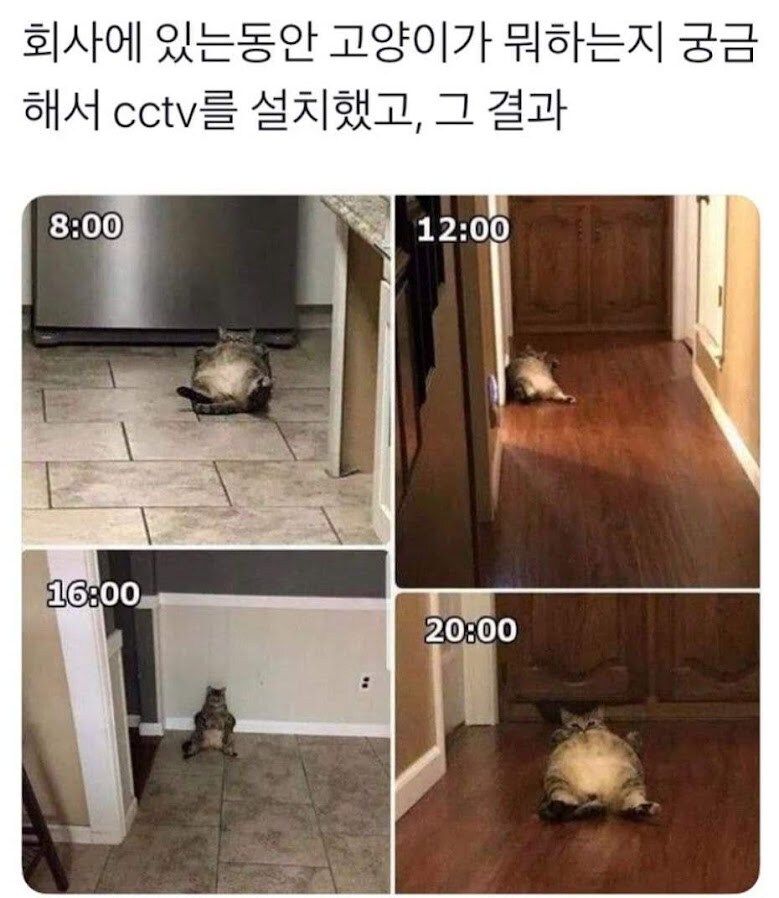 17474084905849.jpeg