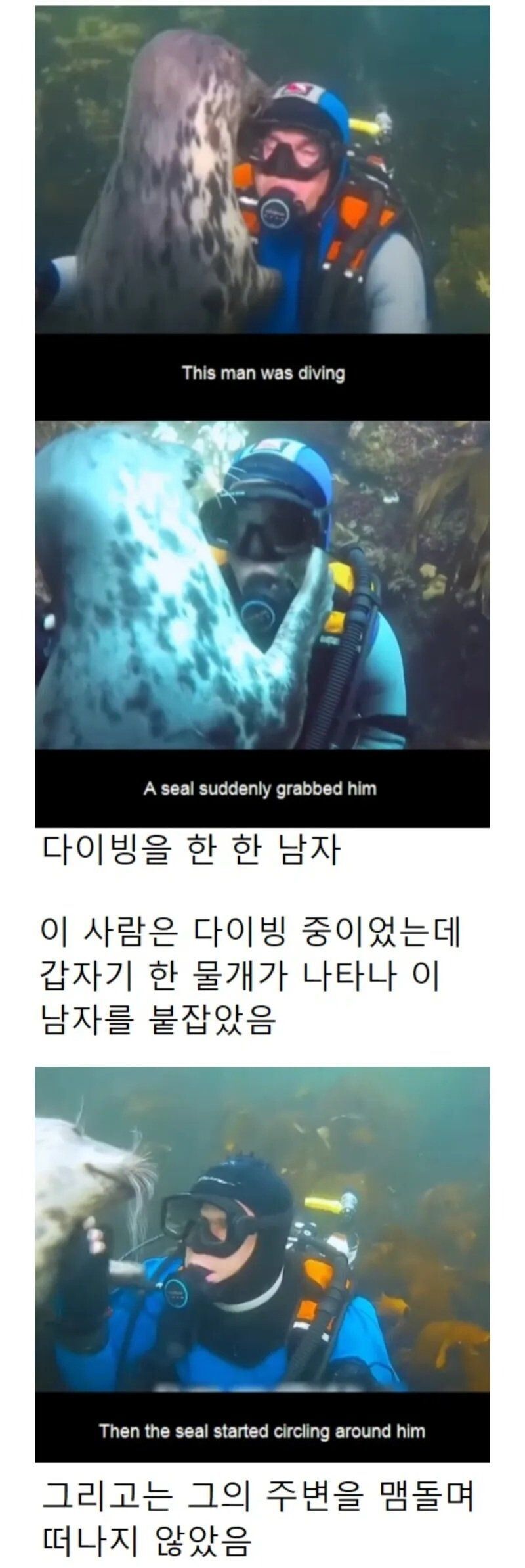 17476669730738.jpeg