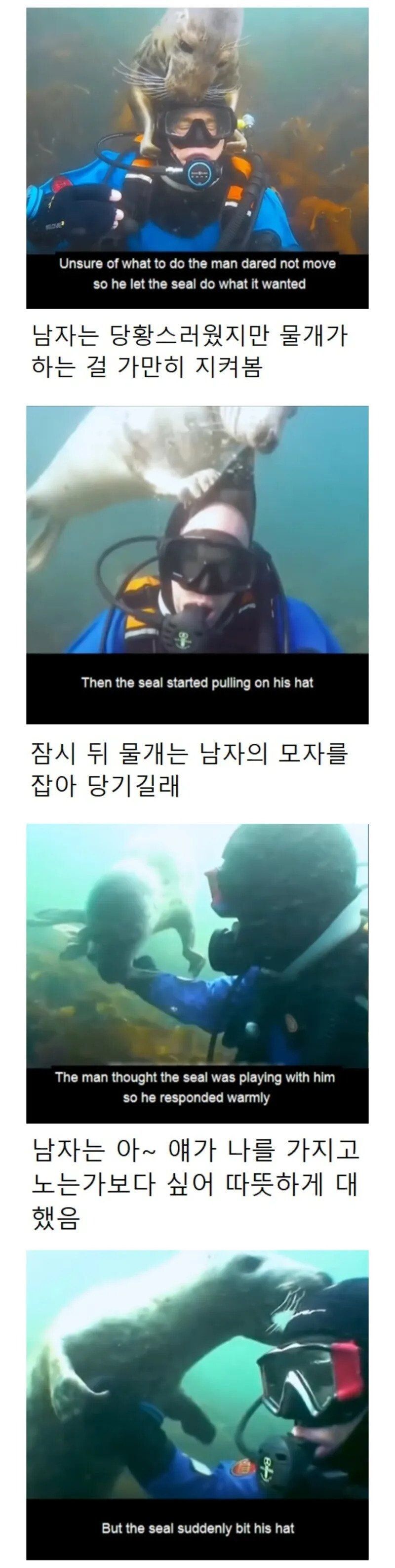 17476669731519.jpeg