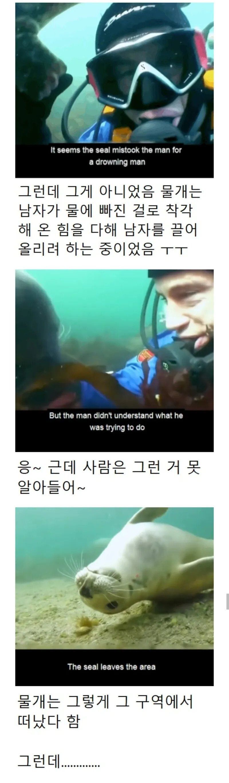 17476669732191.jpeg