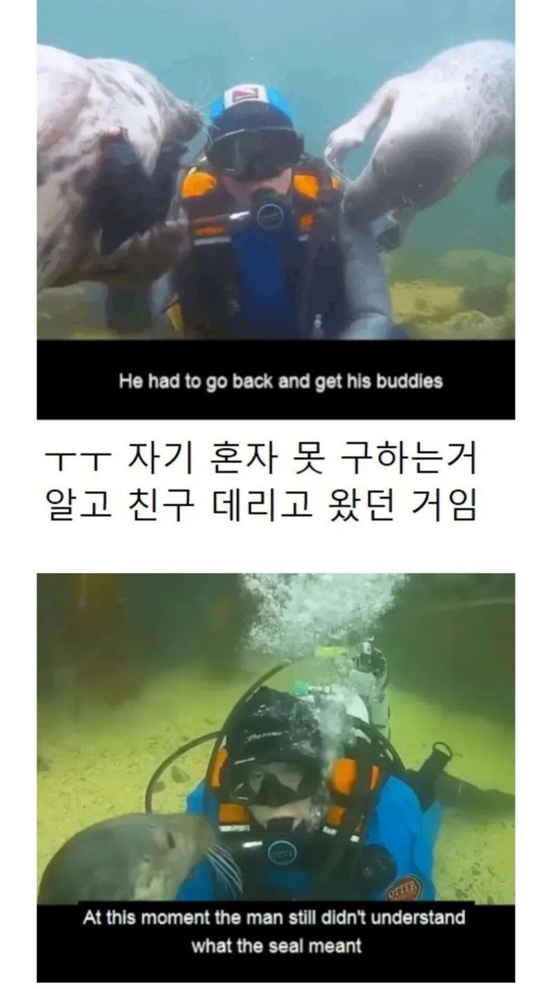17476669733088.jpeg