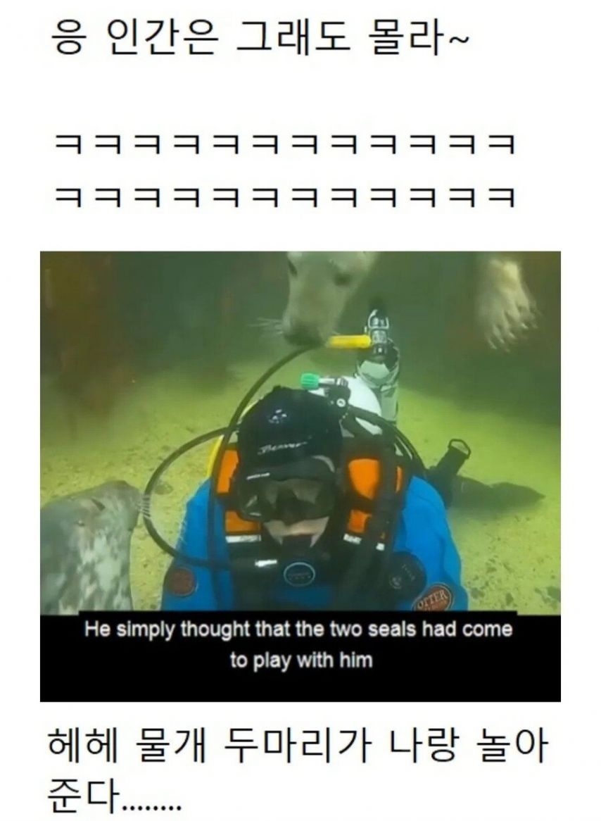 17476669733843.jpeg