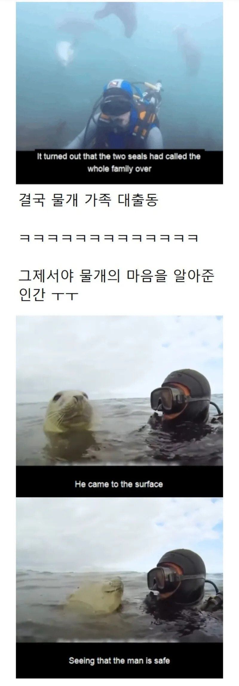 17476669734413.jpeg