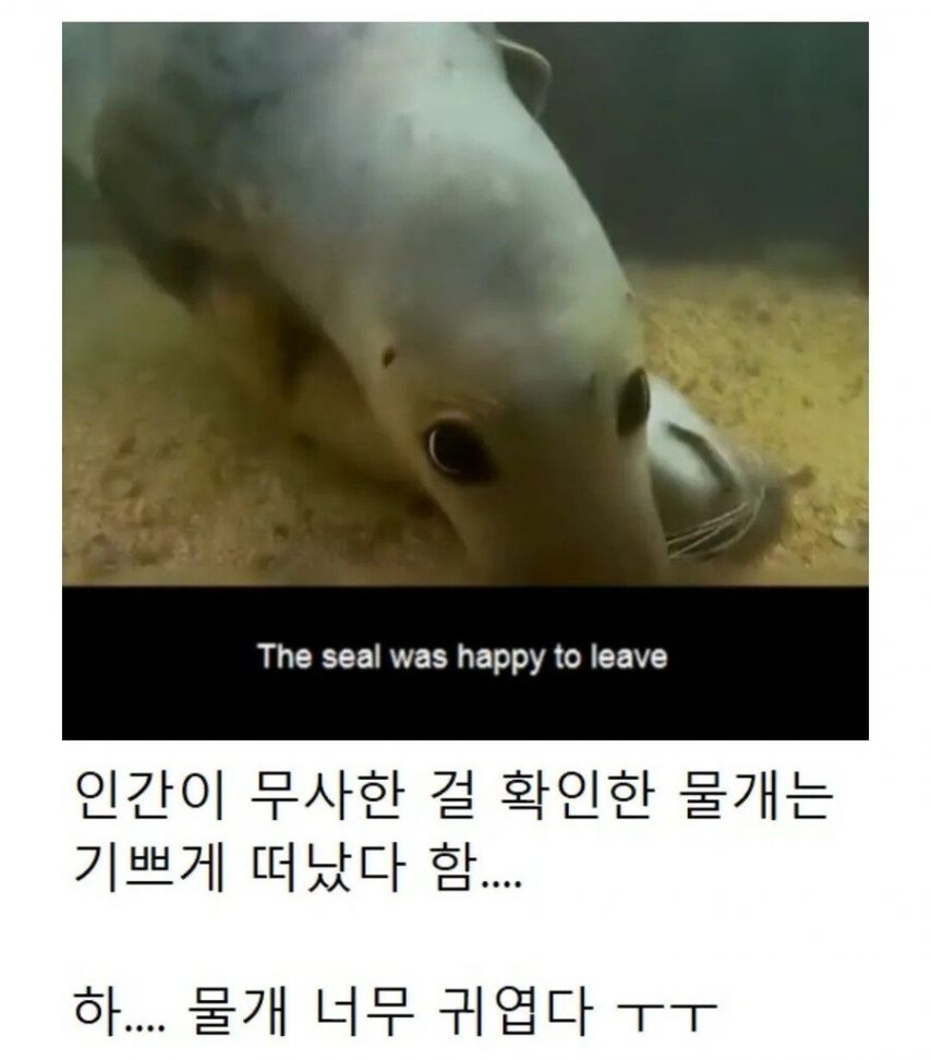 17476669735071.jpeg