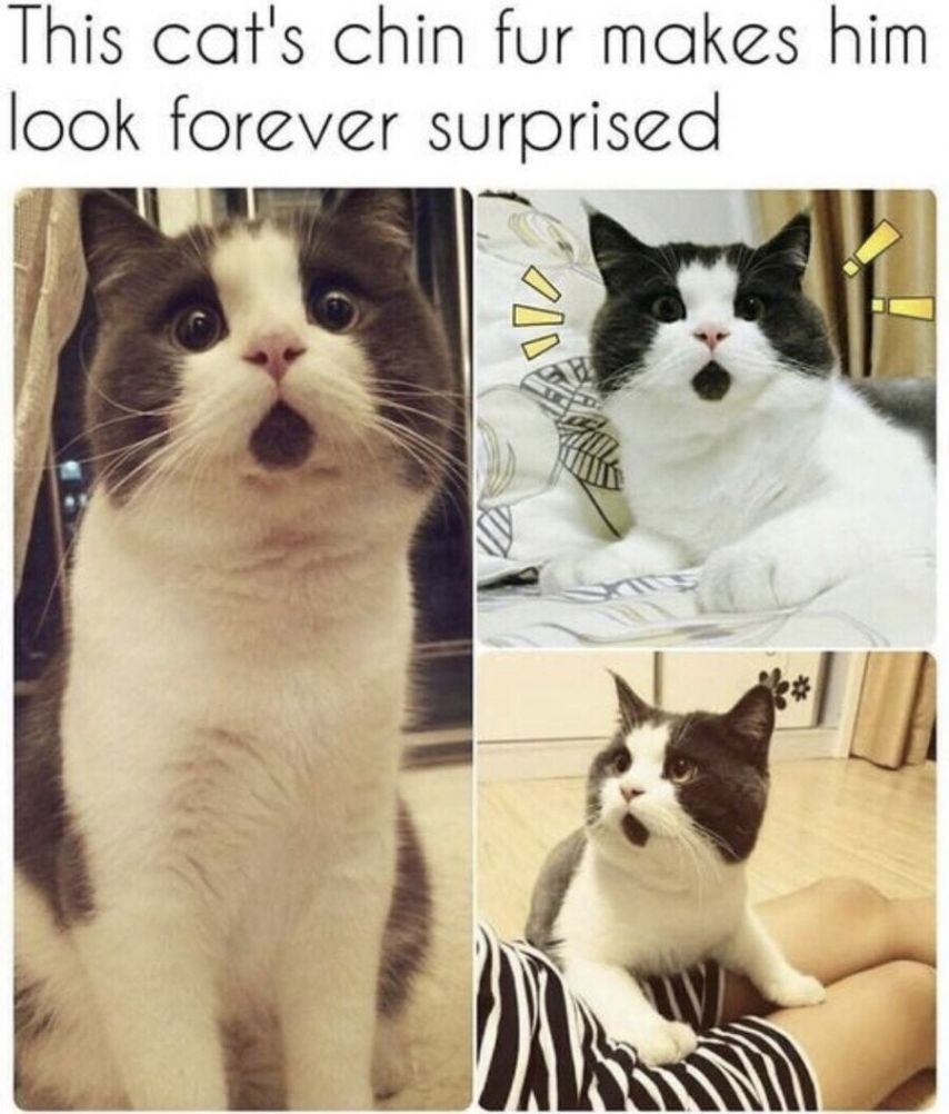 17476669842038.jpeg