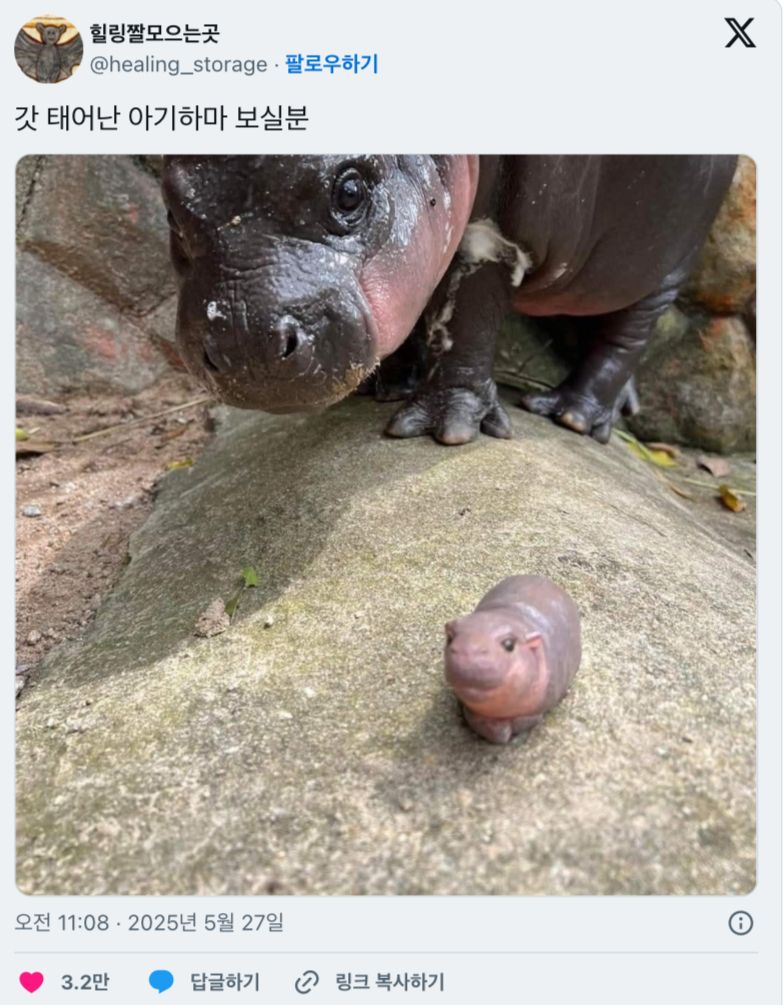 1748444718052.jpeg