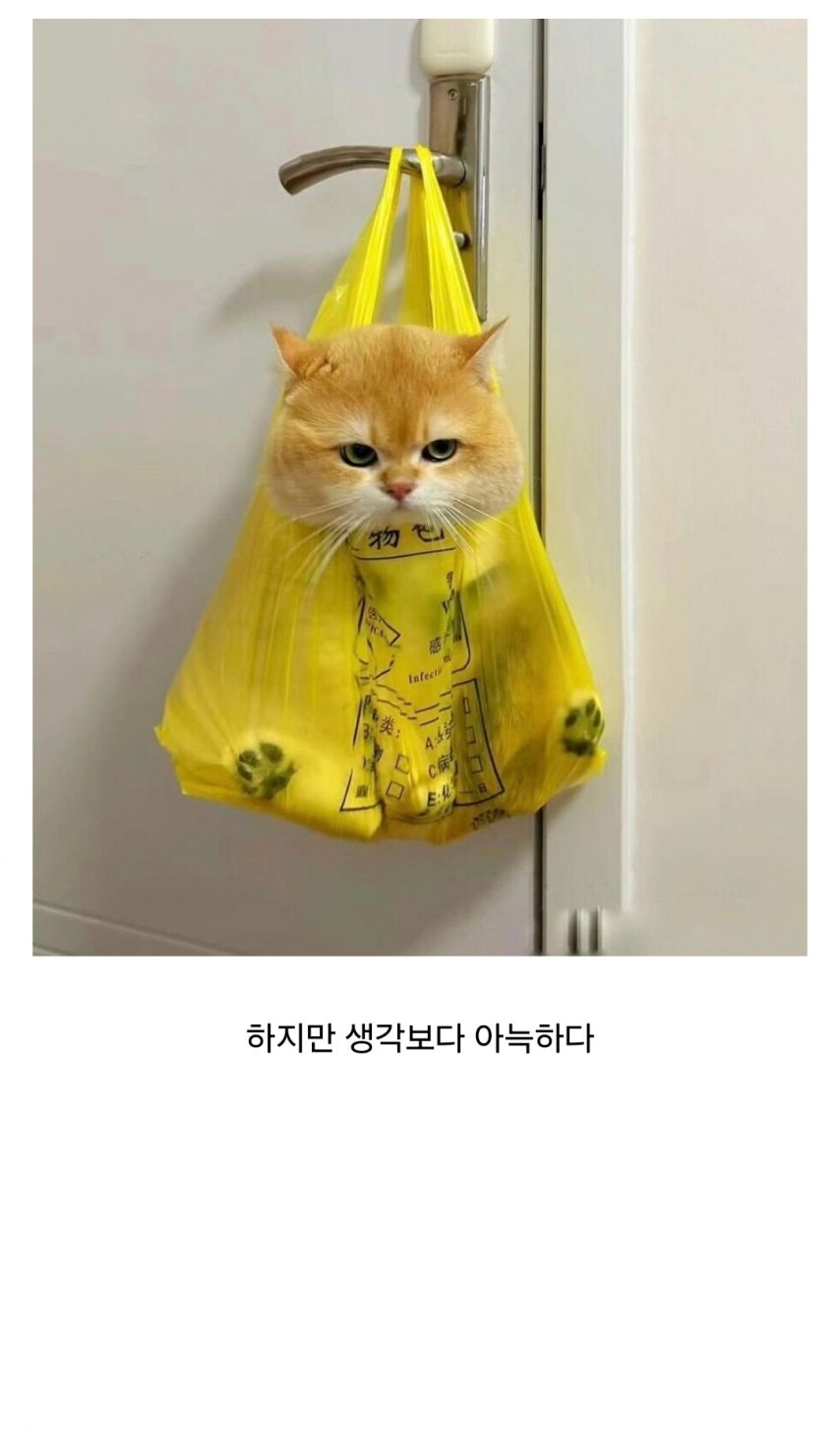 17487062124571.jpeg