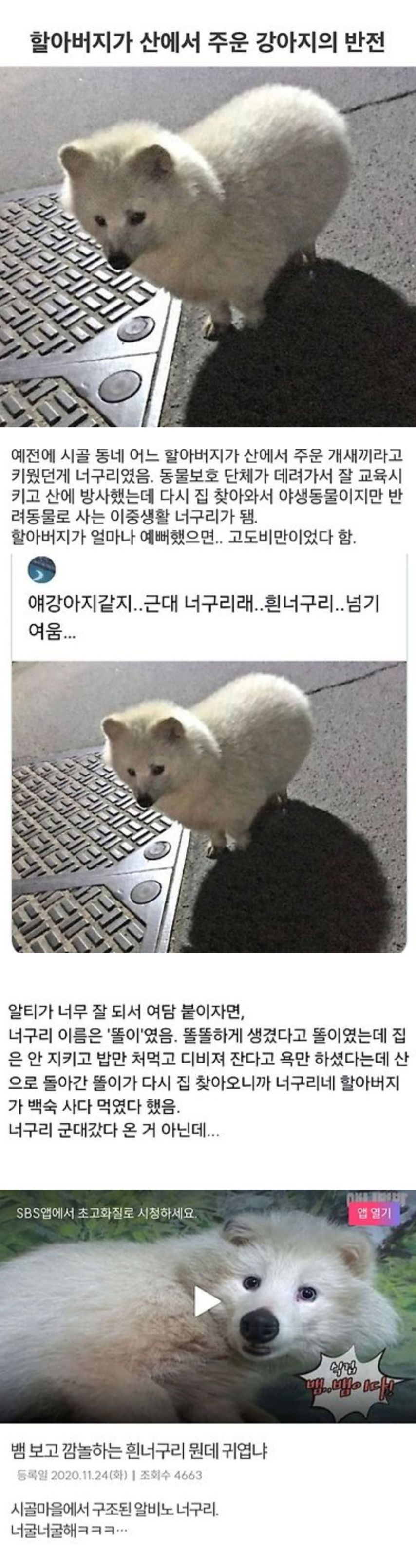 1748876057723.jpeg